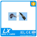 2.5A europe standard plug with IEC Connector ac power cord